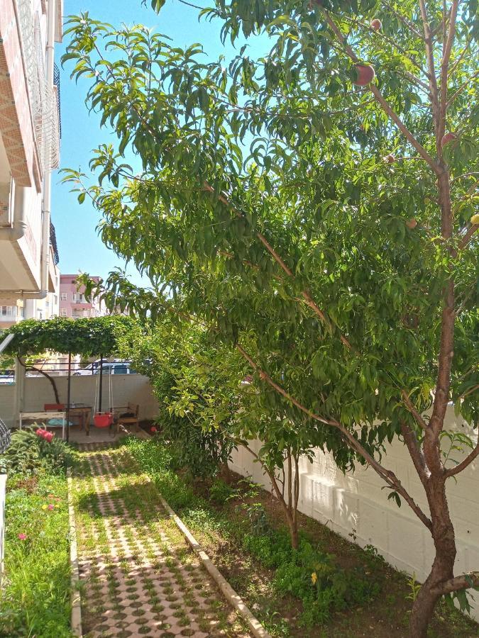 Apartament Bulut
